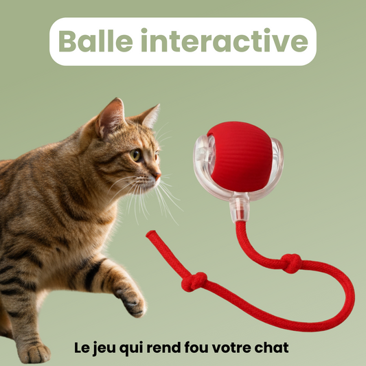 CrazyBall™ - Balle Interactive