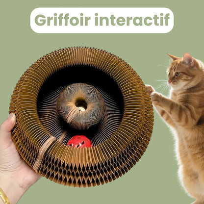 Griffoir interactif pour chats